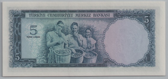 [Resmi Tam Görüntüle]